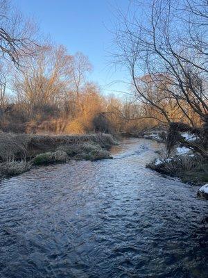 Ashbridge Preserve