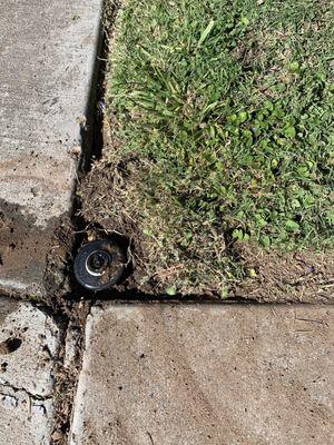 Replaced sprinkler head and grass