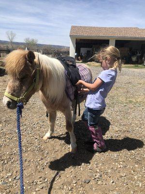 Granddaughter & student with her own pony, 2019