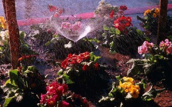 D&L Sprinkler System Repair, Installation & Drip Irrigation Systems, D&L Sprinkler System