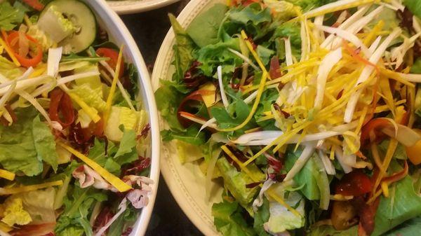 Rainbow Seasonal Salad