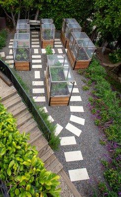 vegetable garden with critter covers