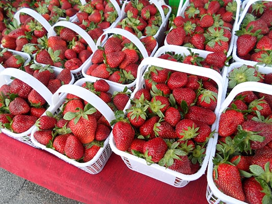 Celebrate opening day with strawberries!