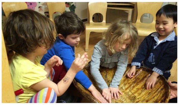 Examining a tortoise shell from Riverbend Environmental Nature Center, whose teachers visit us weekly during the school year.