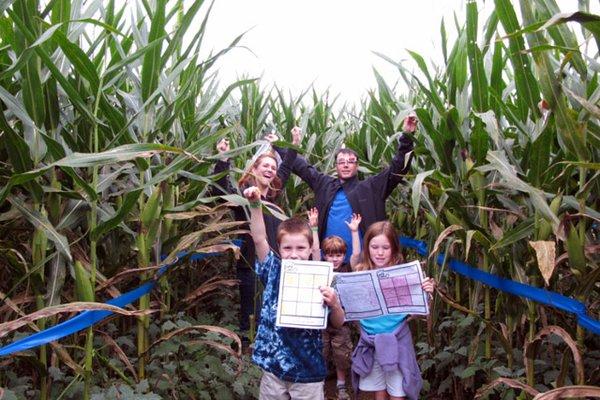 Giant corn maze