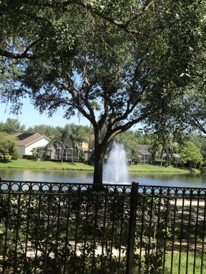 One of the water fountains, viewing it from the back of the complex.