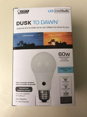 Trying these dusk to dawn light bulbs