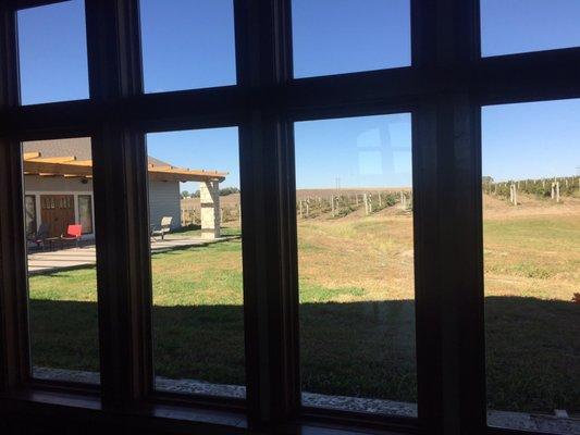 Outdoor sitting area & vines