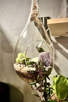 Water drop terrarium