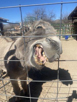 Hello friend, give me snacks!