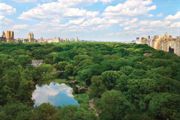 Central Park View