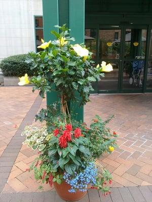 Flowers flank the main entrance.