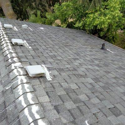 Clean roof with moss treatment