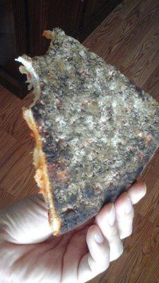 Pizza and slurpee delivery thru DoorDash.  Burnt pizza crust!!!