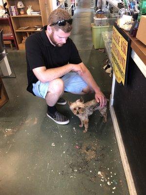 Here's Mr. Adorable 'Pete' the Yorkie charming a customer.