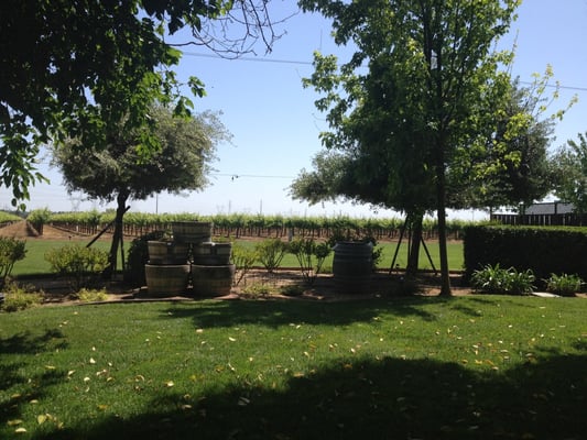 View from the picnic tables.