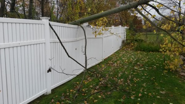 Concrete posts and incredibly strong vinyl fencing make for a bullet proof combo. The fence reverted back to it's original shape, no damage.