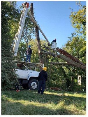 Bucket Truck Clean-Up Crew