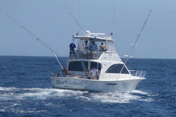 Charleston Sport Fishing Charters