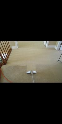 WE CURRENTLY HAVE A CARPET CLEANING SPECIAL!!