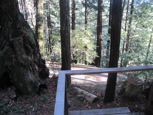 Photo taken from stairway at Seaton Hill House, 17735 Santa Rosa in Guerneville, CA