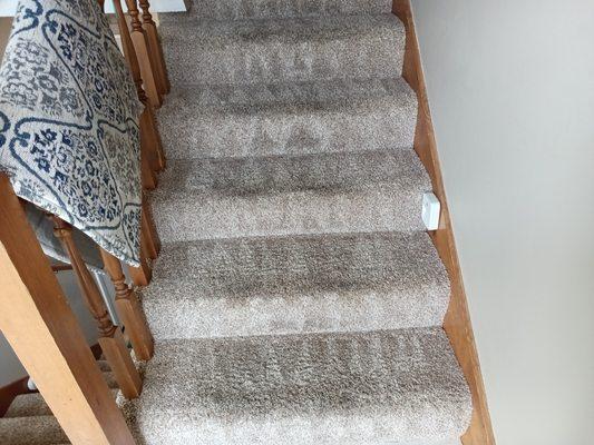 Carpet Cleaning