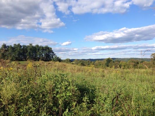 T.N. Sullivan Wildlife Management Area