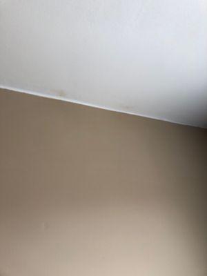 Wall color on my ceiling in spare room.