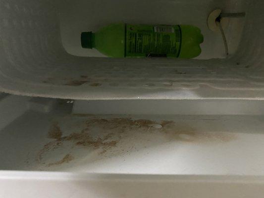 Dirty  freezer.   Mountain Dew was left in there from somebody else.