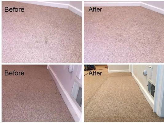 Roy's Carpet Cleaning