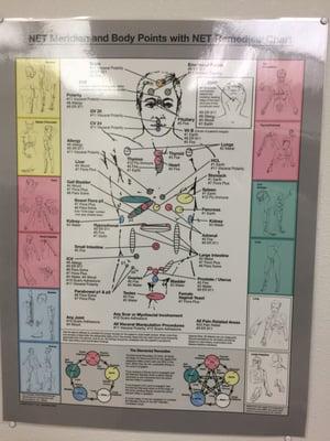 NET chart