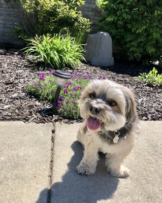 Richfield Area Pet Clinic