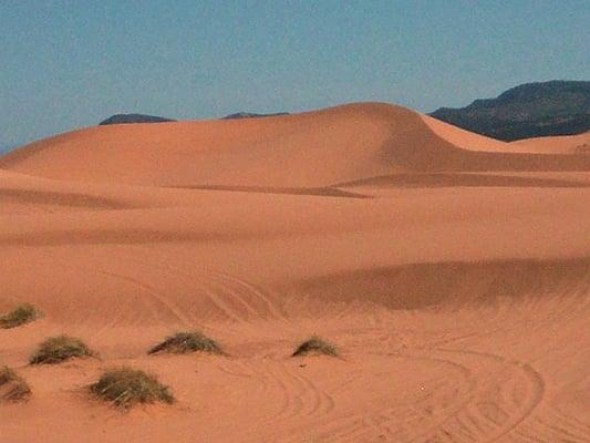 Coral Pink Sand Dunes