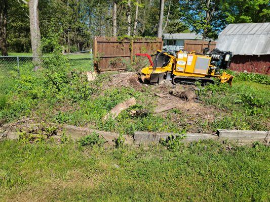 Stump grinding