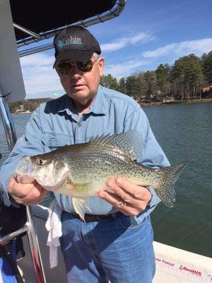 15" Crappie