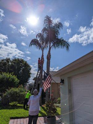 Friendly Touch Tree Service