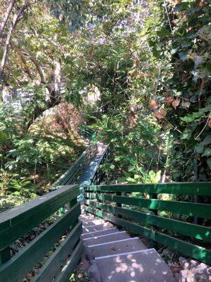 Bridge crossing the Creek