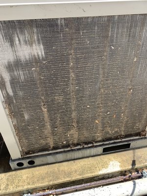 Condenser coil covered in pet hair and dust