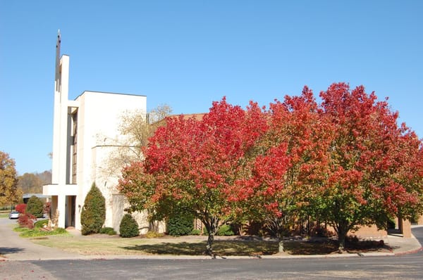 Bluegrass in the Fall