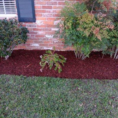 Red mulch provides for a nice finish.