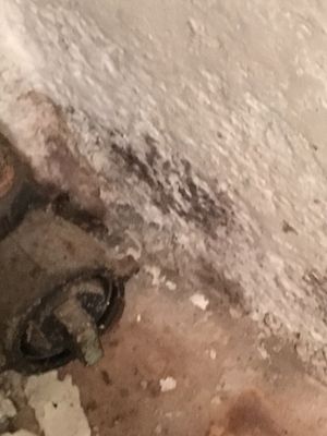 water damage and causing mold growth