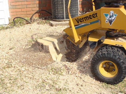 In the process of grinding a stump out for one of our clients.