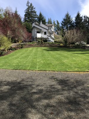 Custom yard care and maintenance services