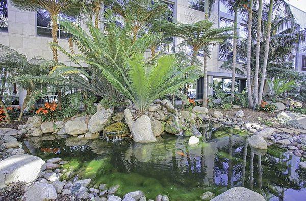 I love working at this office center.  What a great courtyard.