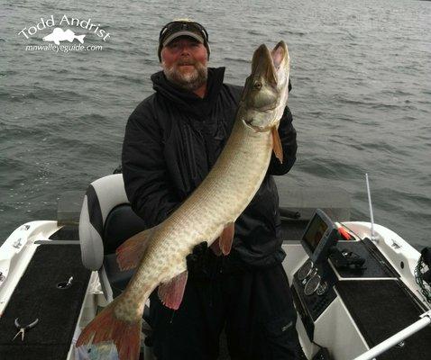 Todd lands a nice Muskie!