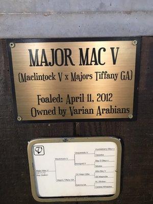 Major Mac family tree