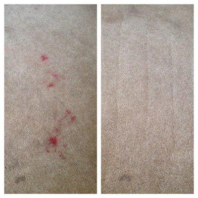 Stain removal in customer's home.  Red lipstick and fun-loving children...