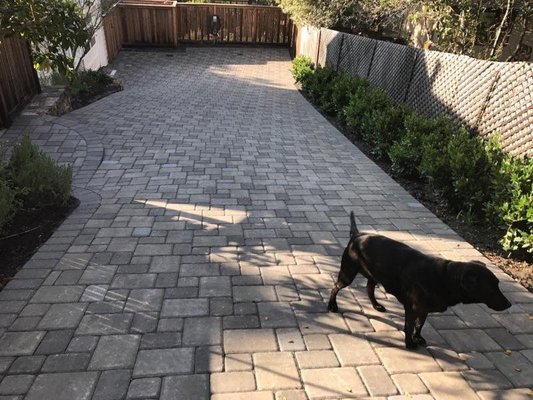 Belgard paver driveway - we even got a picture with the homeowners dog!