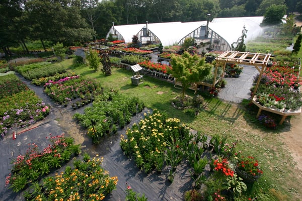 30,000 Home-Grown perennials...From A-Z we grow it!