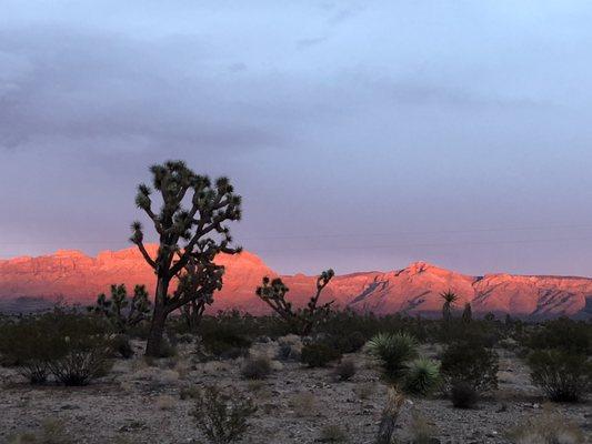 Grandwash cliffs at sunset